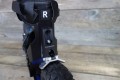 srb XRS06 11