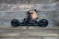 Powerslide XC Skeleton Trinity 10